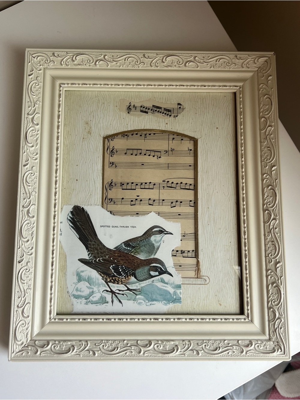 Vintage Bird & Sheet Music Framed Art Mixed Media